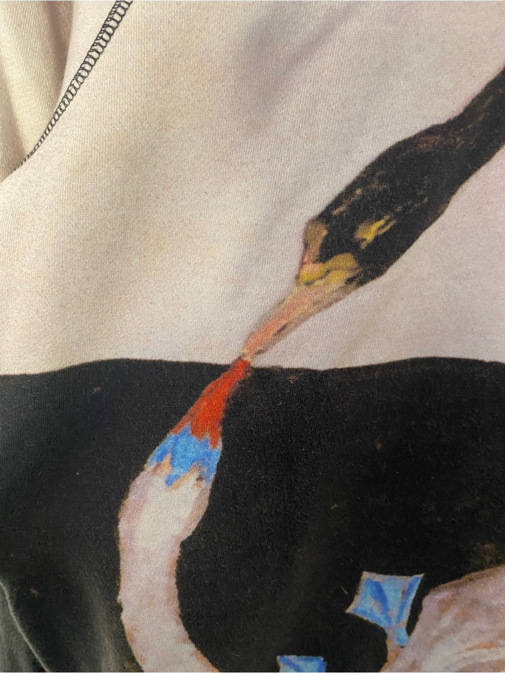 Acne Studios x Hilma af Klint Swan Print Sweatshirt XS Rare SS14 Art Collab - Picture 7 of 8